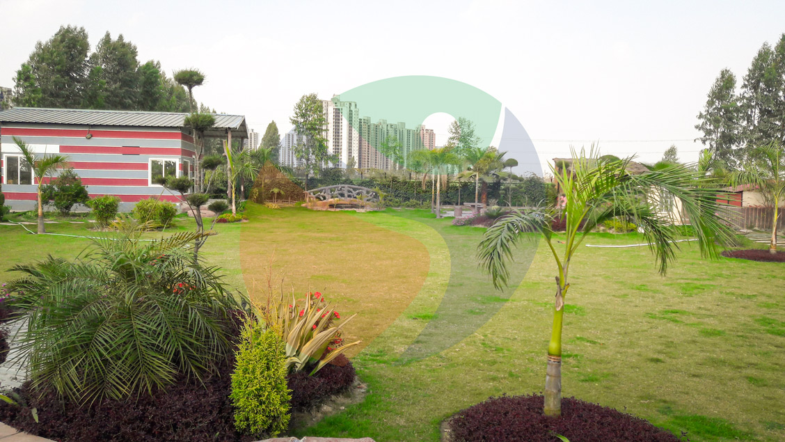 Joy Festival 2012 photo 1