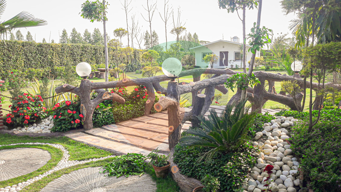 Joy Festival 2012 photo 4