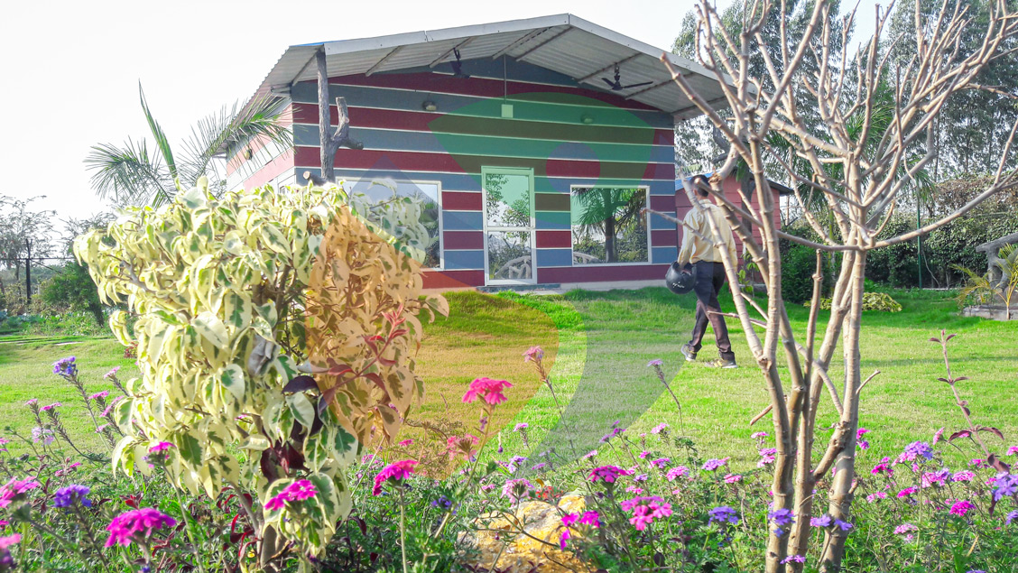 Joy Festival 2012 photo 8